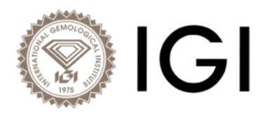 IGI Logo